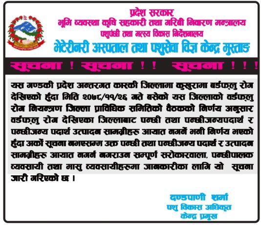 जलजलाको कालञ्जर पर्वतमा पञ्चश्री महायज्ञ शुरू