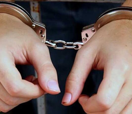 जलजलामा युवतीलाई जबरजस्ती गरेको आरोपमा ४ जना पक्राउ