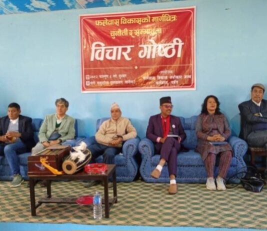 फलेवास विकासको सन्दर्भलाई लिएर उम्मेदवार तिमिल्सिनाले गरे विज्ञहरूसँग छलफल