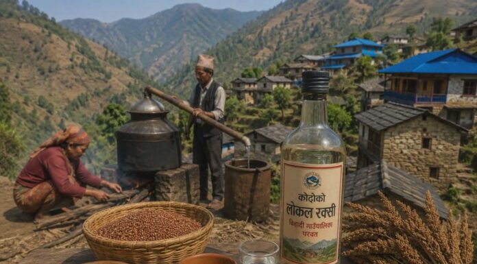 बिहादी गाउँपालिकाले कोदोको घरेलु मदिराको ब्रान्डिङ गर्दै