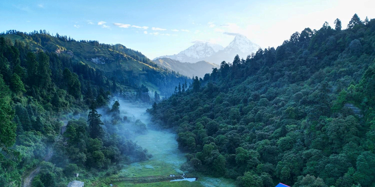 jaljala-tana