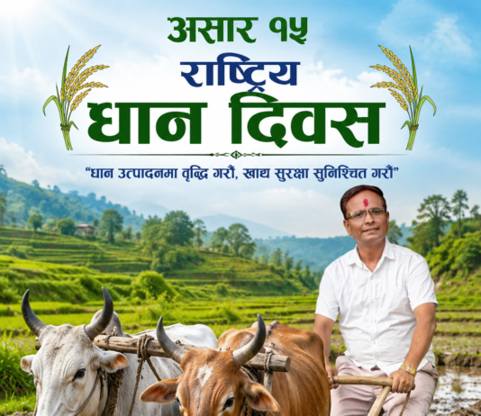 आज असार १५: पानी नपर्नाले पर्वतमा आजसम्म २१ प्रतिशत मात्र रोपाईं