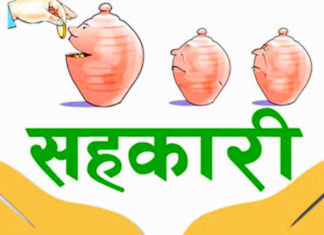 पैयुँमा लामो समयदेखि निष्क्रिय १२ सहकारी संस्थाहरूलाई खारेज गर्ने तयारी