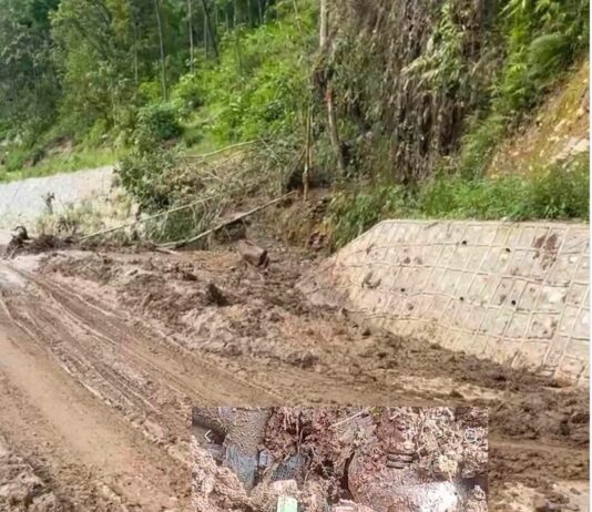 गुडिरहेको मोटरसाइकलमाथि एक्कासि पहिरो खस्दा चालक गम्भीर घाइते