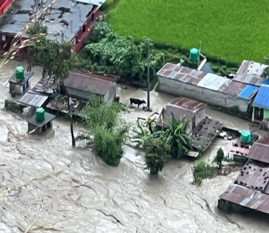 कालीगण्डकीमा आएको बाढीले जलजलाका २५ घर बगायो, सेतीबेणी बजार डुबानमा