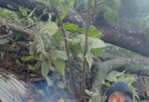 पर्वतमा विनाशक बाढी पछि आएको सुख्खा पहिरोले जनजीवन प्रभावित