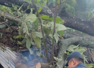 पर्वतमा विनाशक बाढी पछि आएको सुख्खा पहिरोले जनजीवन प्रभावित