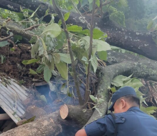 पर्वतमा विनाशक बाढी पछि आएको सुख्खा पहिरोले जनजीवन प्रभावित